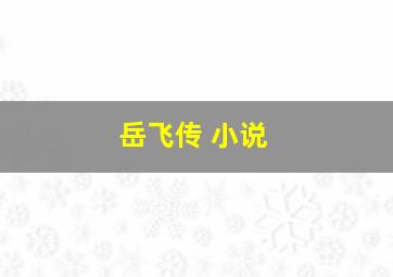 岳飞传 小说